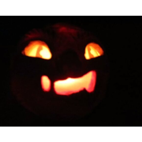 Halloween Figure "Werewolfie Werewolf" ~ 11" ~Eyes/mouth light ~ Jorge De Rojas - Picture 8 of 8